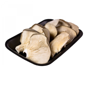 CHAMPIÑONES OSTRA 250 GRS.