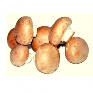 CHAMPIÑONES PORTOBELLO 250 GRS.