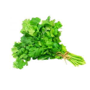 CILANTRO