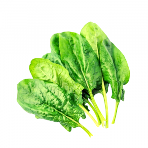 ESPINACAS