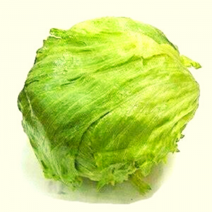 LECHUGA ESCAROLA
