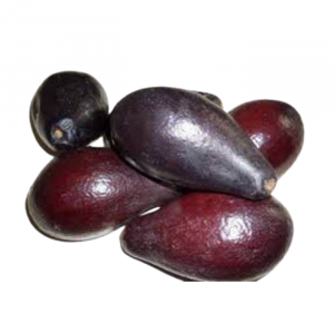 PALTA DE LA CRUZ