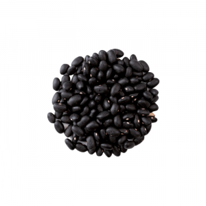 POROTO NEGRO