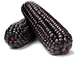 MAIZ MORADO (PERUANO)