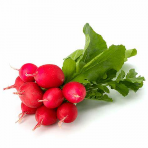 RABANITOS