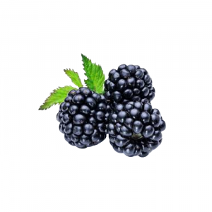 Moras grandes 1 KILO