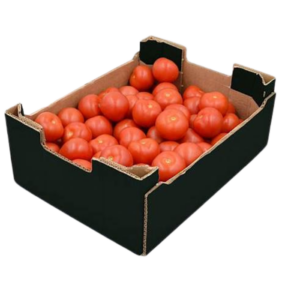 TOMATES (CAJA 20 KG.)
