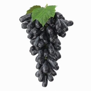 UVA ZAFIRO