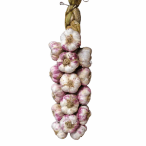 TRENZA DE AJO CHILENO