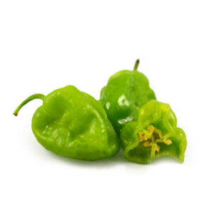 AJÍ HABANERO NATURAL 1 KILO