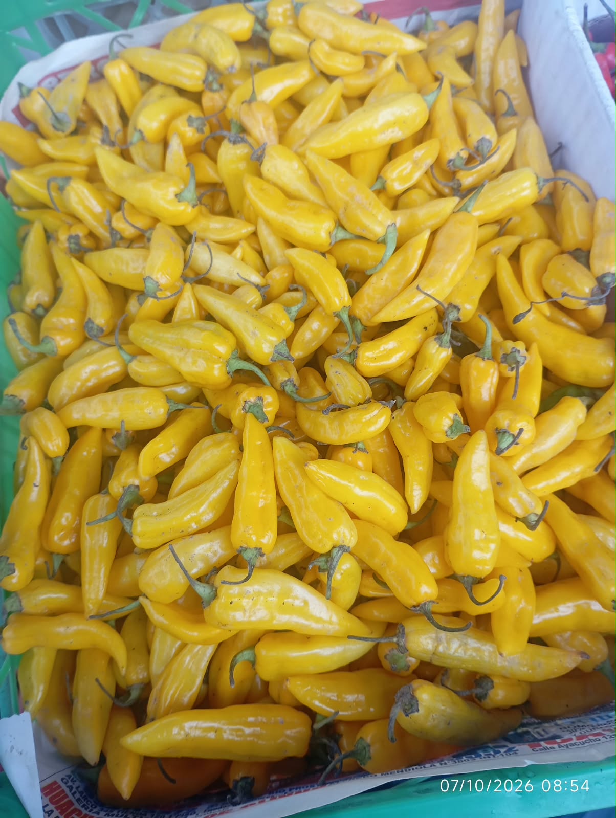 AJÍ LIMA PICANTE